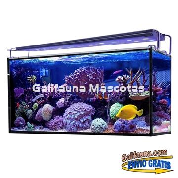 Acuario marino AQUA OCEAN HYDRA  (180 l) - Imagen 2