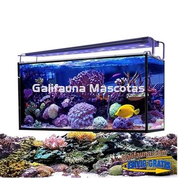 Acuario marino AQUA OCEAN HYDRA  (240 l) - Imagen 2