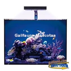 Acuario marino KORAL (72 l) - Imagen 1