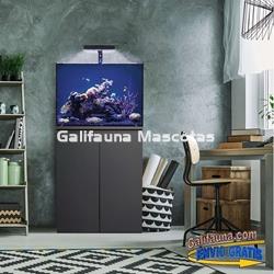 Acuario marino KORAL (72 l) - Imagen 2