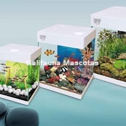 Acuario Nano Aqualed Crystal de 10, 20 o 30 litros. - Imagen 2
