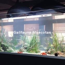 Acuarios de metacrilato a medida. - Imagen 1