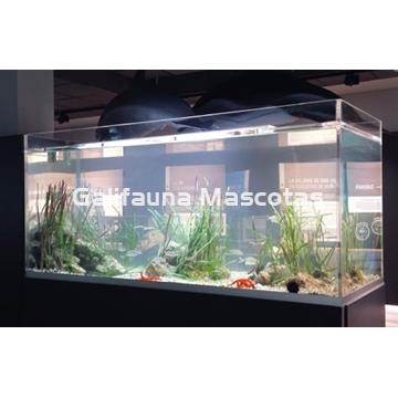 Acuarios de metacrilato a medida. - Imagen 1