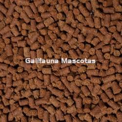 Alimento para ajolotes AXOLOTL DAJANA - Imagen 2