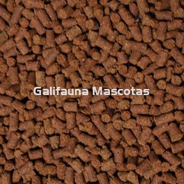 Alimento para ajolotes AXOLOTL DAJANA - Imagen 2