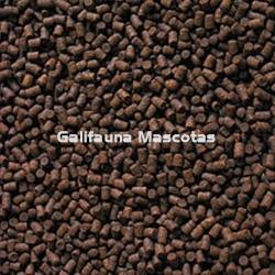 Alimento para Esturiones en grano. SERA Stör Perlets. - Imagen 2