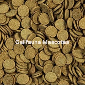 Alimento para Esturiones grandes en tabletas. SERA Stör Chips XXL. - Imagen 2