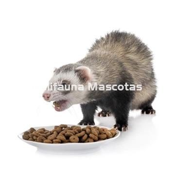 ALIMENTO para Hurones ALL-PET. Pienso premium para Hurones. - Imagen 2