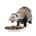ALIMENTO para Hurones ALL-PET. Pienso premium para Hurones. - Imagen 2
