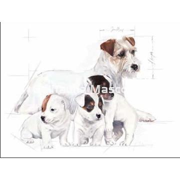 Babydog milk 0,4 kg Royal Canin. Leche para cachorros - Imagen 2