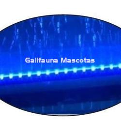 Barra difusora con iluminación de led. Varias medidas. - Imagen 1