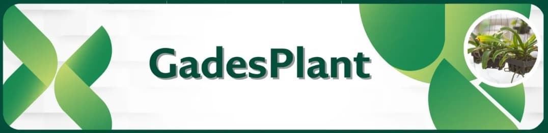 Terrario-Paludario-Orquidario - Imagen 1