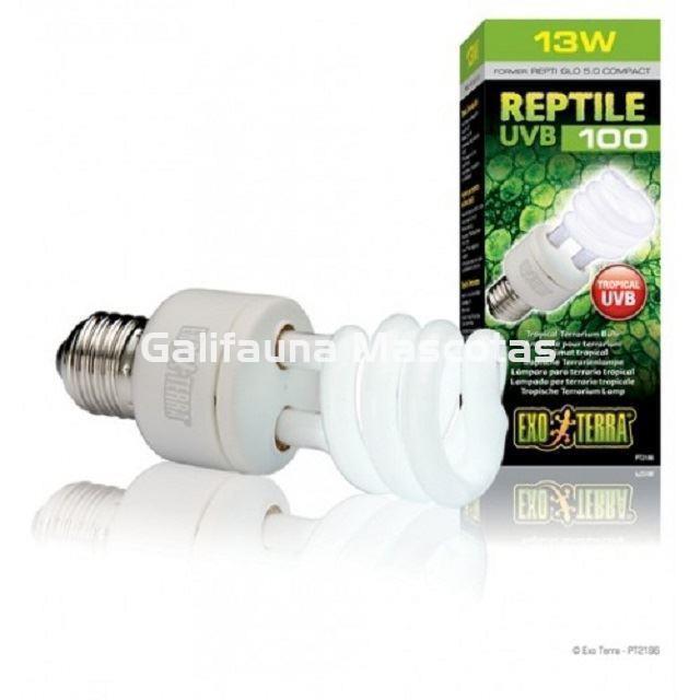 Bombilla UVB 5.0 para terrarios UVB 100 5.0  de EXO TERRA. Lámpara de bajo consumo. - Imagen 1