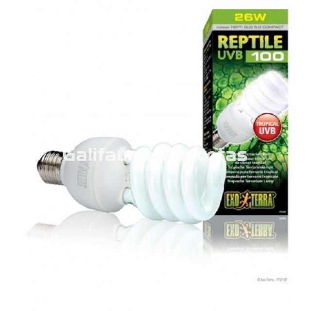 Bombilla UVB 5.0 para terrarios UVB 100 5.0  de EXO TERRA. Lámpara de bajo consumo. - Imagen 2