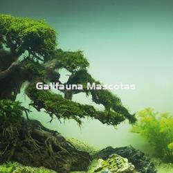 Bonsái decoracion acuarios Grande. Especial Aquascaping - Imagen 2