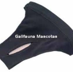 Braguita higienica para perra. - Imagen 1