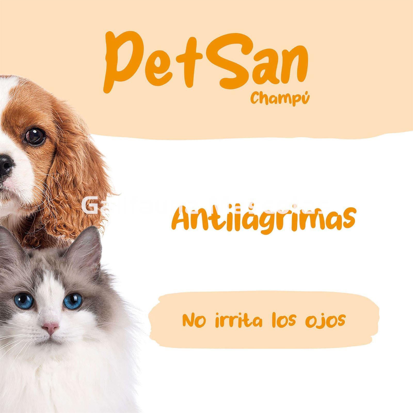 Champú antilágrimas con Aloe Vera para perros y gatos PetSan - Imagen 3