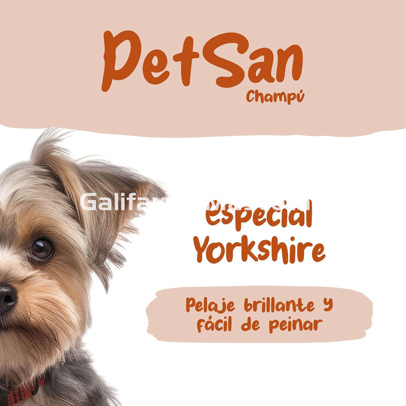 Champú para Yorkshire con Aloe Vera PetSan - Imagen 4