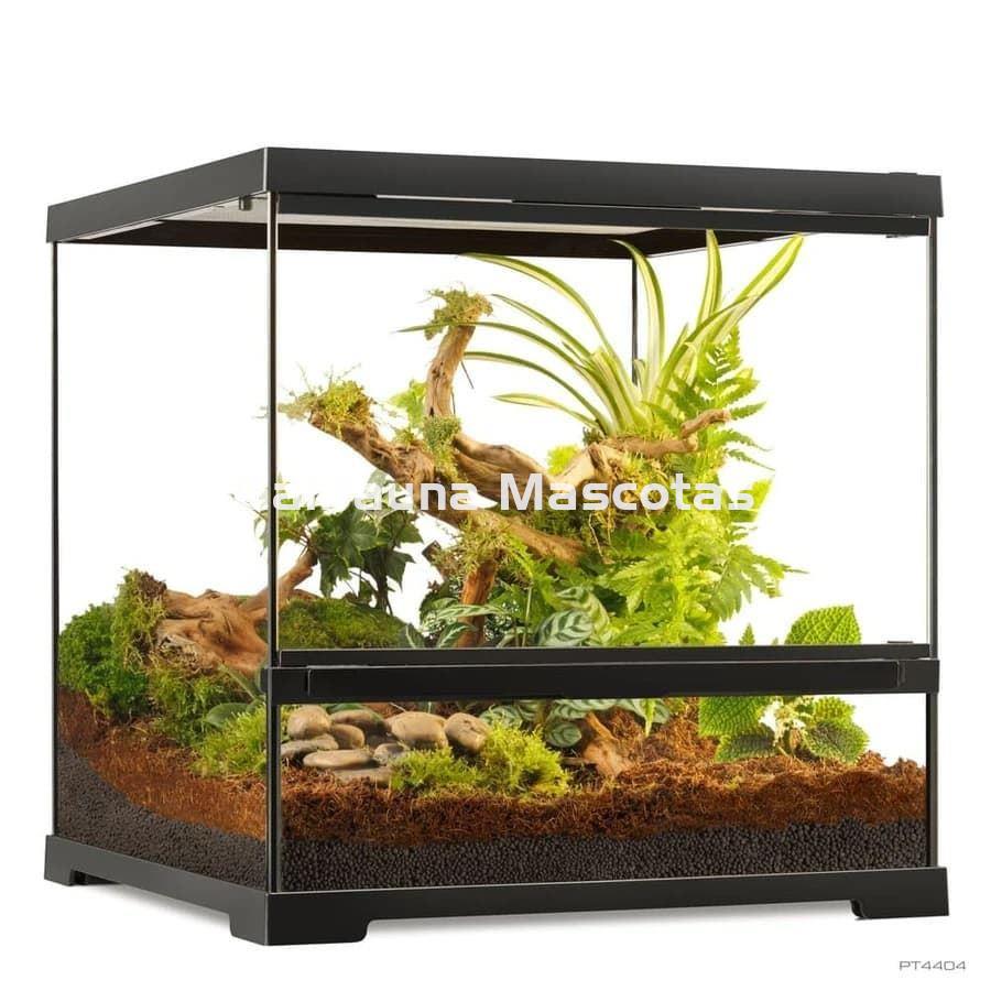 COMBO Pro Terrarium + Mesa + Sistema de iluminación.  45x45 cm en varias alturas. - Imagen 4