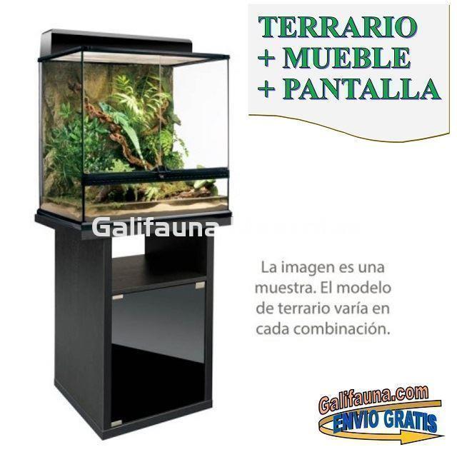 COMBO Terrario + Mesa + Sistema de iluminación.  60x45 cm en varias alturas. - Imagen 2