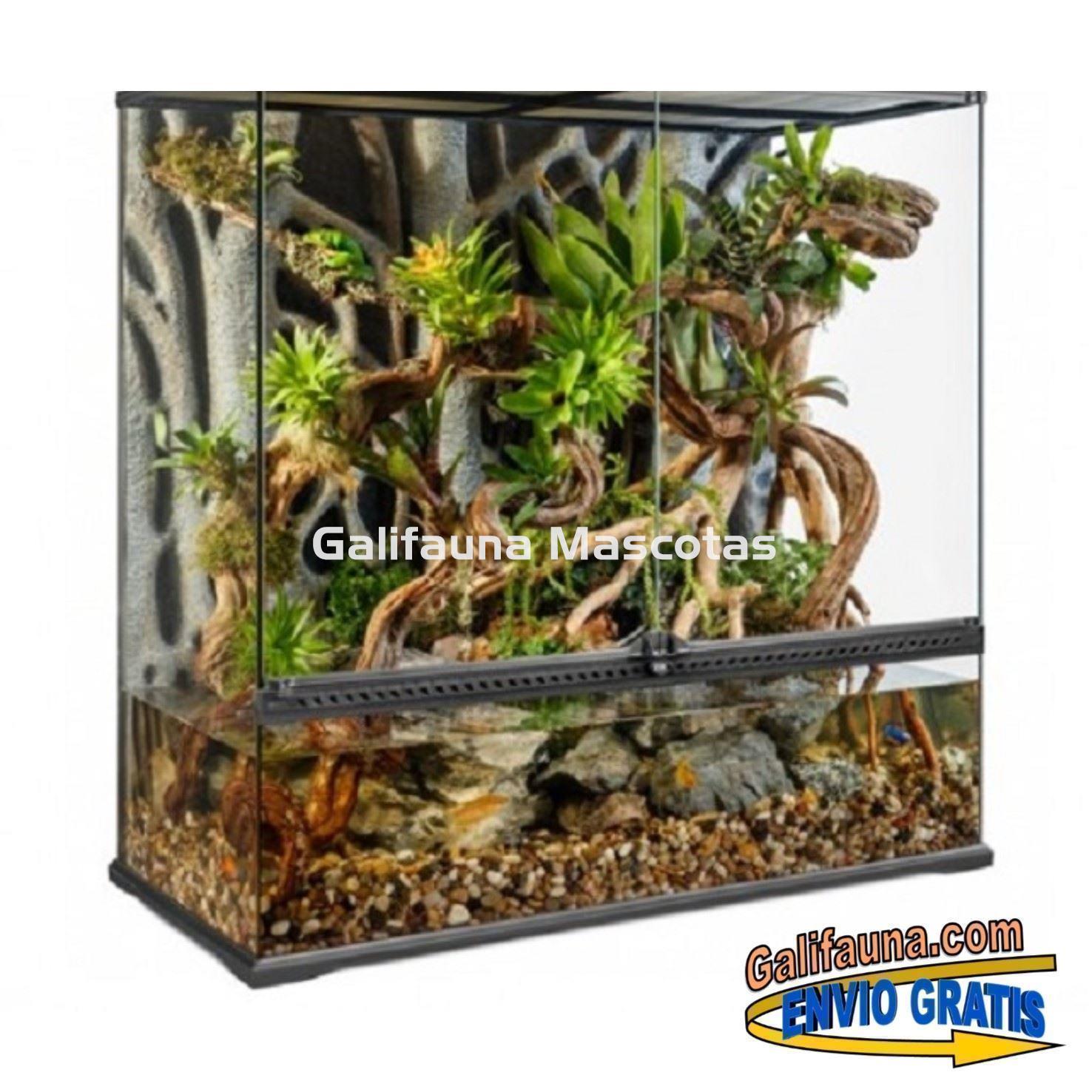 COMBO Terrario + Mesa + Sistema de iluminación.  60x45 cm en varias alturas. - Imagen 6