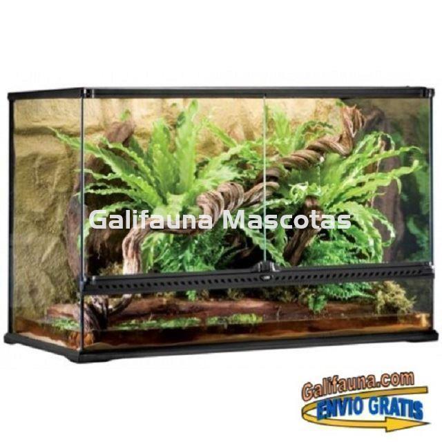 COMBO Terrario + Mesa + Sistema de iluminación.  90x45 cm en varias alturas. - Imagen 5