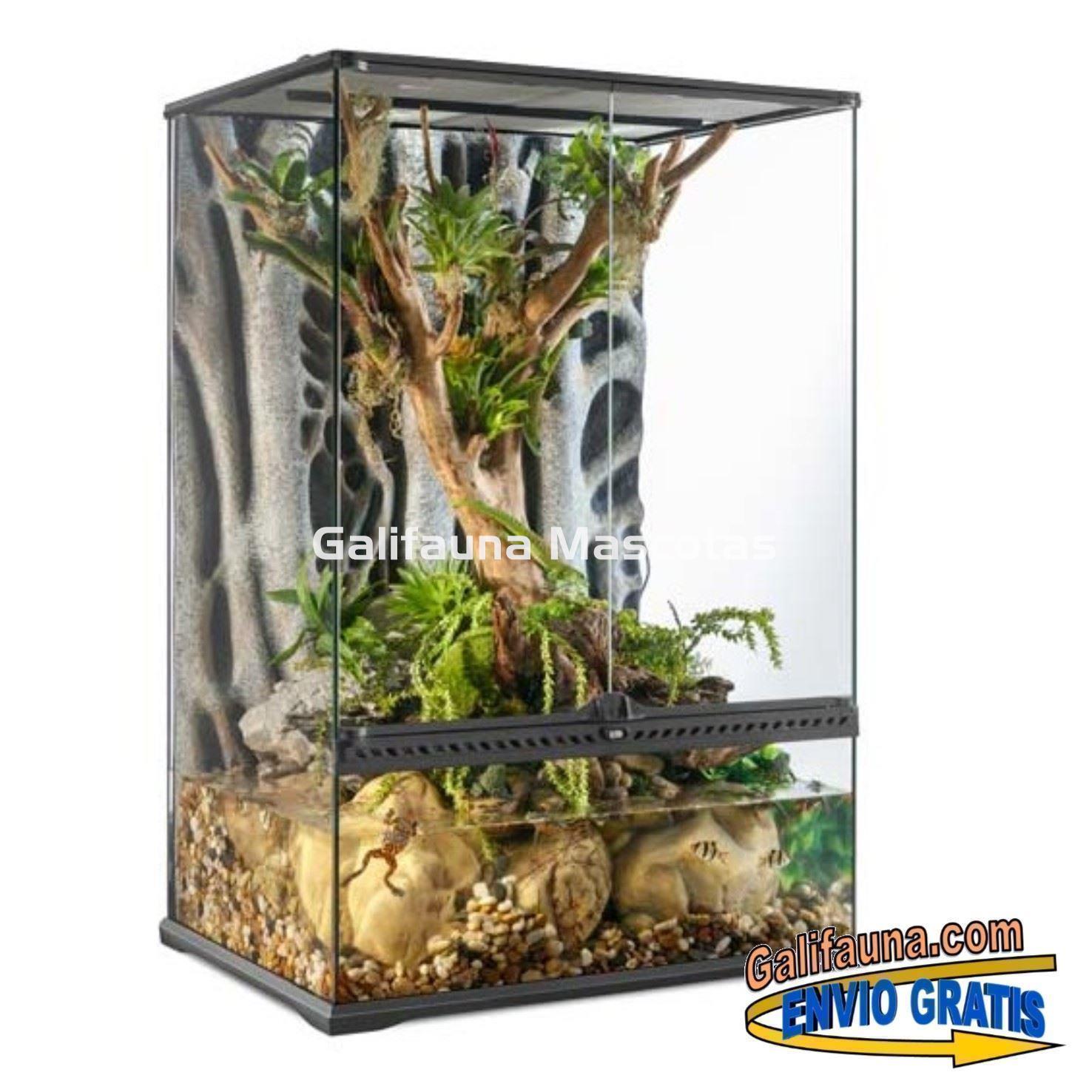 COMBO Terrario + Mesa + Sistema de iluminación.  90x45 cm en varias alturas. - Imagen 6