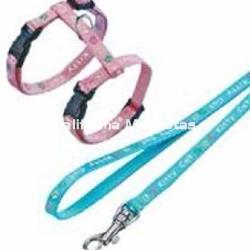 Conjunto Correa + arnes para gato y perros raza mini - Imagen 1