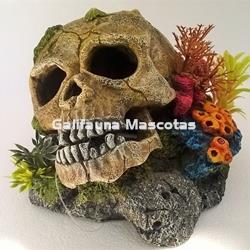 Decoración Calavera con lapas, plantas y coral - Imagen 1
