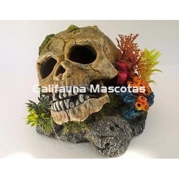 Decoración Calavera con lapas, plantas y coral - Imagen 1