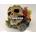 Decoración Calavera con lapas, plantas y coral - Imagen 1
