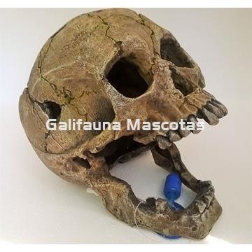 Decoración Calavera grande con piedra difusora. - Imagen 1