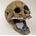 Decoración Calavera grande con piedra difusora. - Imagen 2