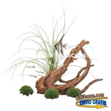 Decoración MOPANI de RÉPLICAS FLUVAL DECOR . - Imagen 1