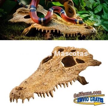 Decoración refugio COCODRILO para terrarios. REFUGIOS FÓSILES para reptiles y anfibios. - Imagen 1