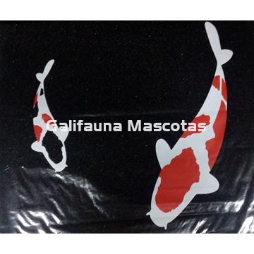 Foamex. Esponja GRANDE para filtros. - Imagen 1