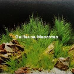 Fondo de acuario Laguna/celeste - Imagen 1