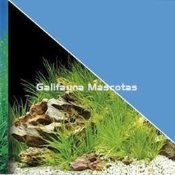 Fondo de acuario Laguna/celeste - Imagen 2