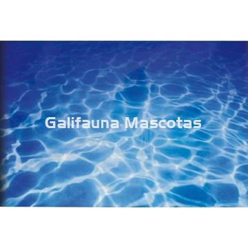 Fondo decorativo de acuario Amazonas / Nilo.  Alto especial Acuarios gigantes. - Imagen 1