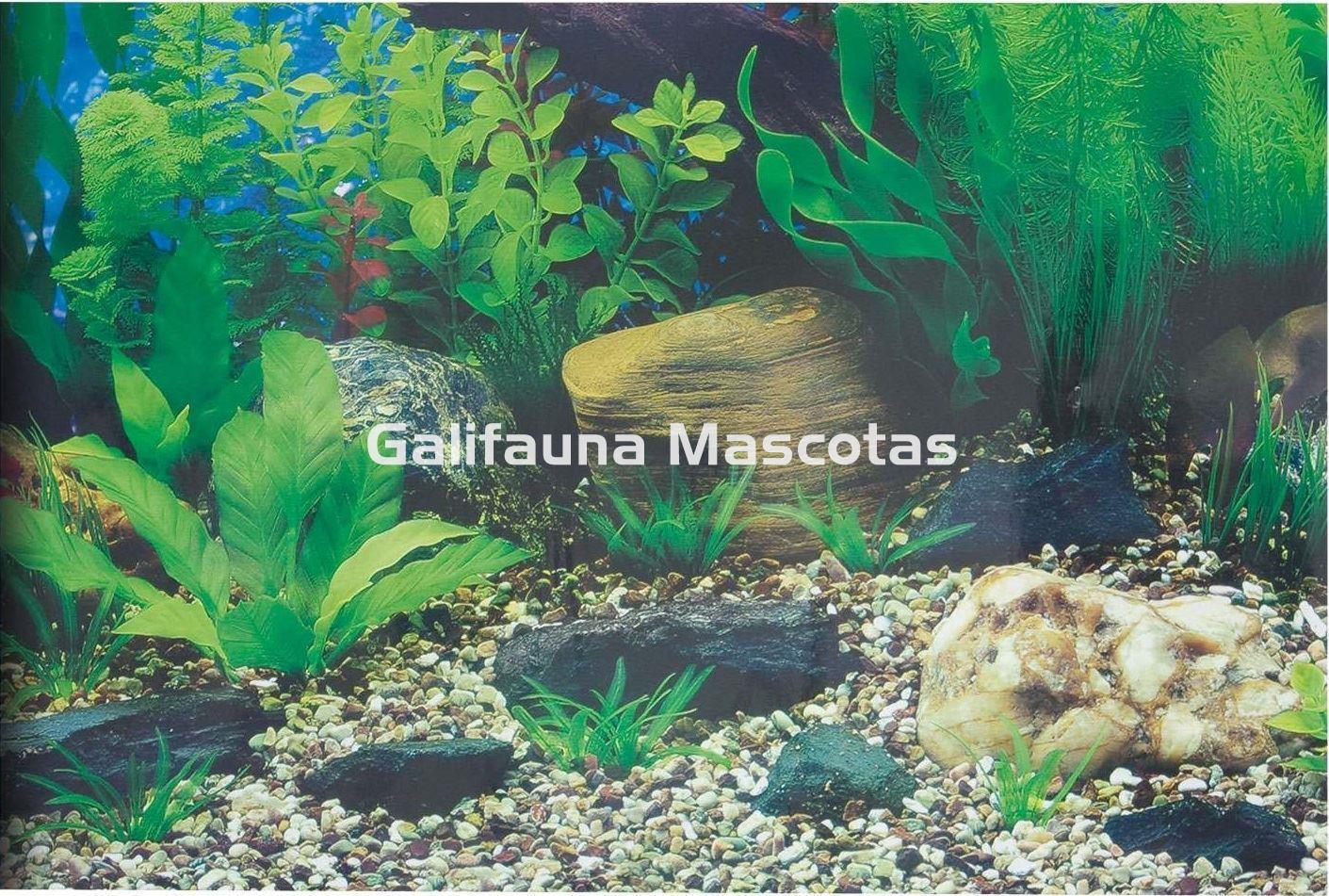 Fondo decorativo de acuario Amazonas / Nilo.  Alto especial Acuarios gigantes. - Imagen 2