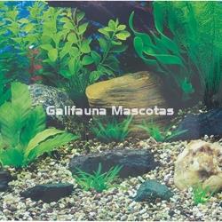 Fondo decorativo de acuario Amazonas / Nilo.  Alto especial Acuarios gigantes. - Imagen 2