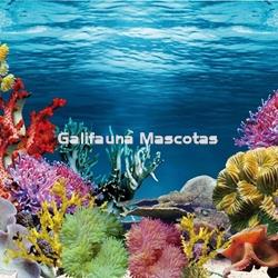 Fondo decorativo de acuario Caribe / Estanque. - Imagen 1