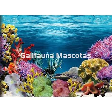 Fondo decorativo de acuario Caribe / Estanque. - Imagen 1