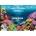 Fondo decorativo de acuario Caribe / Estanque. - Imagen 1