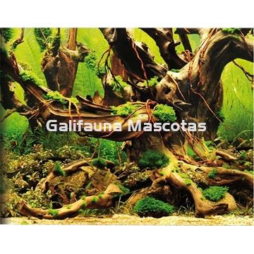 Fondo decorativo de acuario Manglar / Laguna blanca. - Imagen 1