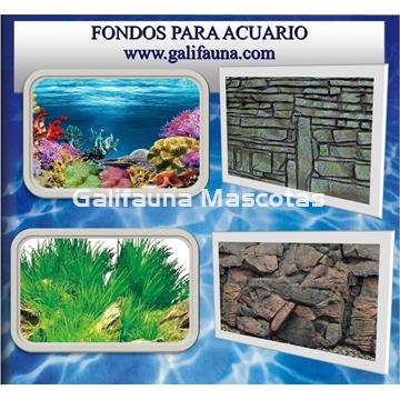 Fondos decorativos para acuarios. - Imagen 1