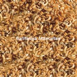 Gammarus SERA Raffy I 100 ml. Alimentacion Tortugas. Gambitas. - Imagen 2