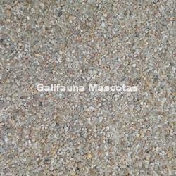 Grava de río tamaño estandar 1 kg. - Imagen 2