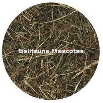 Heno para roedores de primera calidad. 500 gr. - Imagen 2