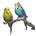 Hueso de Jibia para aves. Aporte de Calcio. - Imagen 2